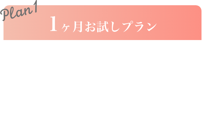 Plan1.1ヶ月お試しプラン
